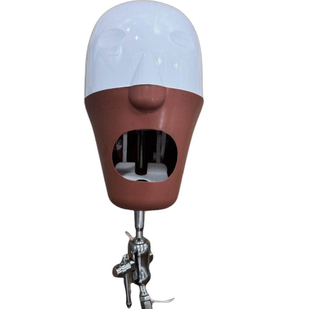 Manikin Head (Magnetic) - Image 2