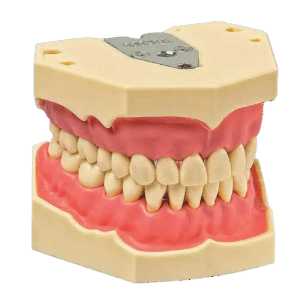 Original Jaw Set