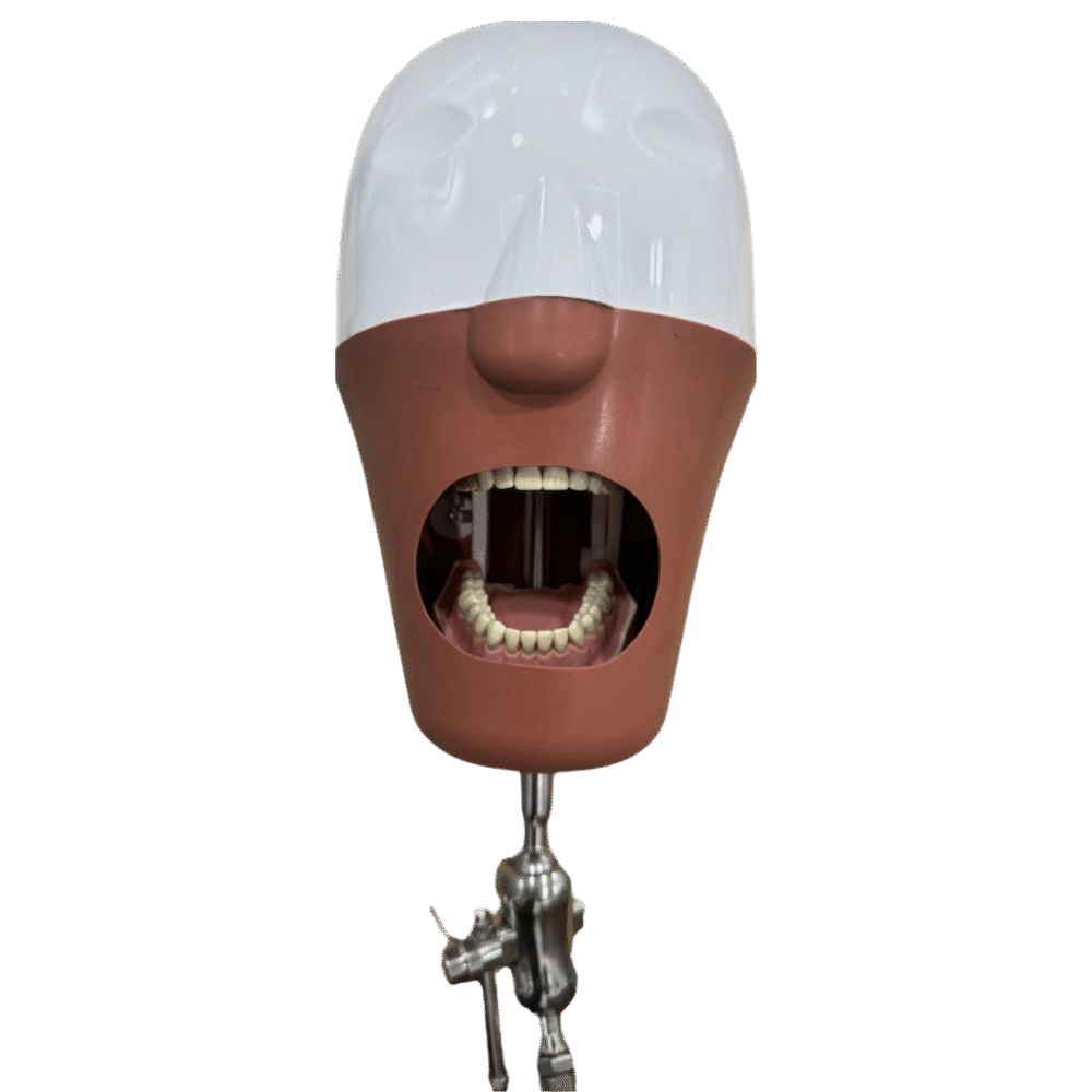 Manikin Head (Magnetic)