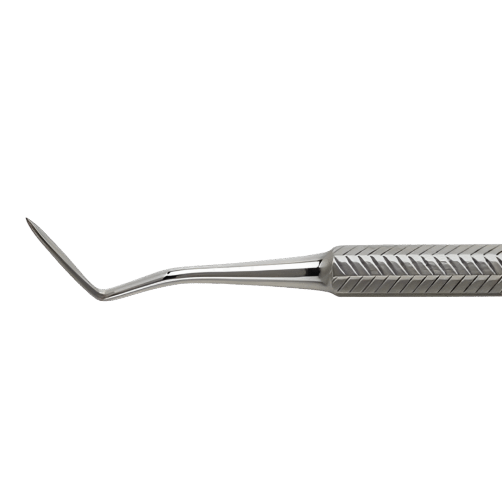 Wards Carver